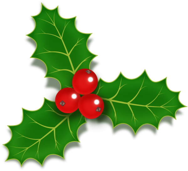 Transparent Christmas Designs Common Holly Christmas Day Holly Leaf for Christmas