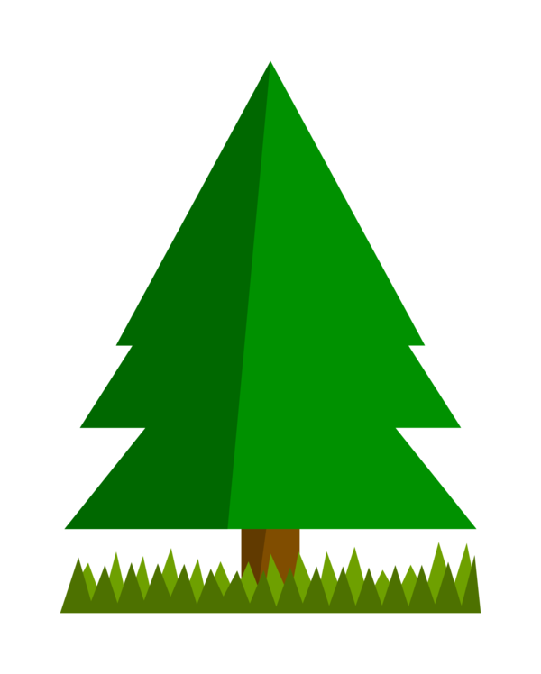 Transparent Tree Pine Oak Fir Pine Family for Christmas