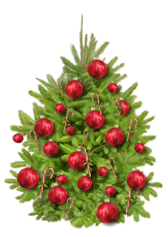 Transparent Christmas Tree Christmas Day Party Tree Plant for Christmas