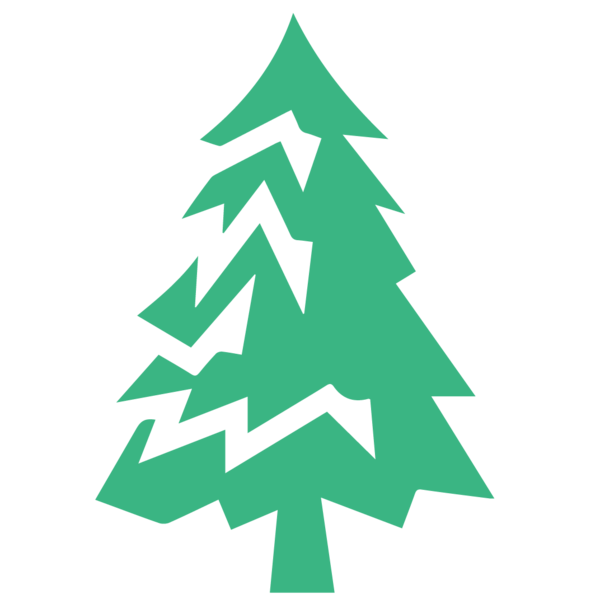 Transparent Tree Pine Christmas Tree Oregon Pine for Christmas