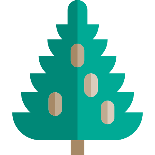 Transparent Spruce Fir Tree Green for Christmas