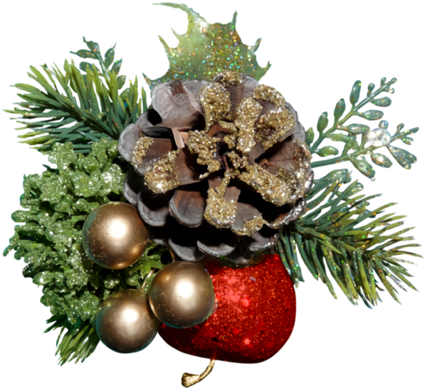 Transparent christmas Christmas decoration oregon pine Christmas ornament for Christmas Ornament for Christmas