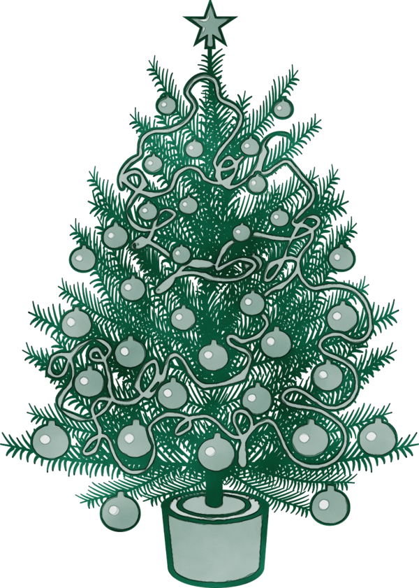 Transparent Christmas Tree Colorado Spruce Yellow Fir for Christmas