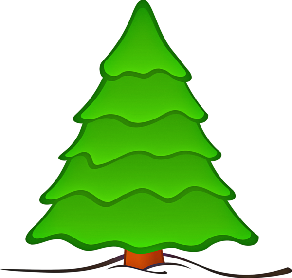 Transparent Christmas Tree Green Oregon Pine for Christmas