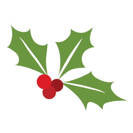 Transparent Mistletoe Christmas Phoradendron Tomentosum Plant Leaf for Christmas