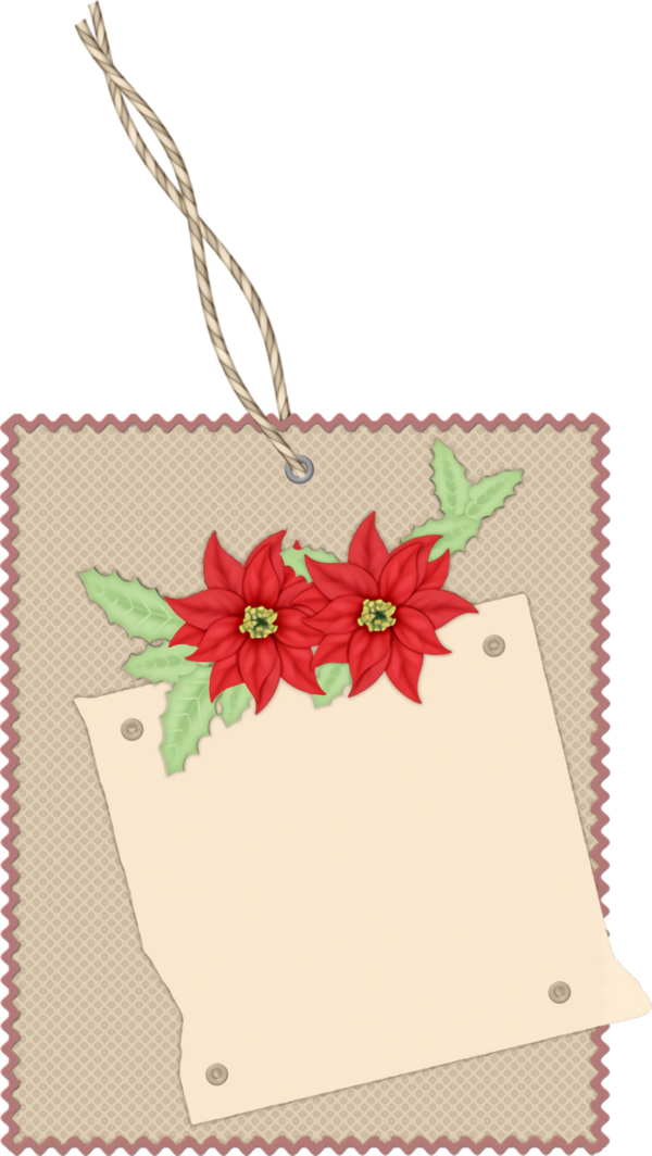 Transparent christmas Poinsettia Flower Paper product for Christmas Ornament for Christmas