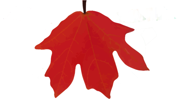 Transparent Lost Maples State Natural Area Maple Leaf Camping Red Leaf for Christmas