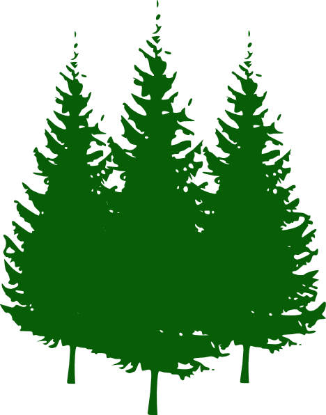 Transparent Pine Tree Silhouette Fir Pine Family for Christmas