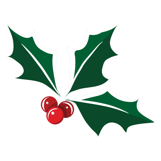 Transparent Mistletoe Drawing Logo Holly Leaf for Christmas