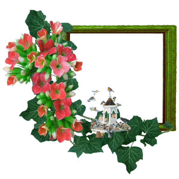 Transparent Picture Frames Blog Pink Flowers Plant Flower for Christmas