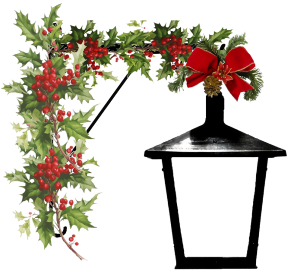 Transparent christmas Flowerpot Flower Plant for Christmas Ornament for Christmas