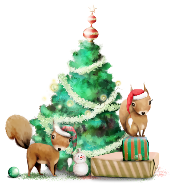 Transparent christmas Holiday ornament Christmas tree Christmas ornament for Christmas Ornament for Christmas