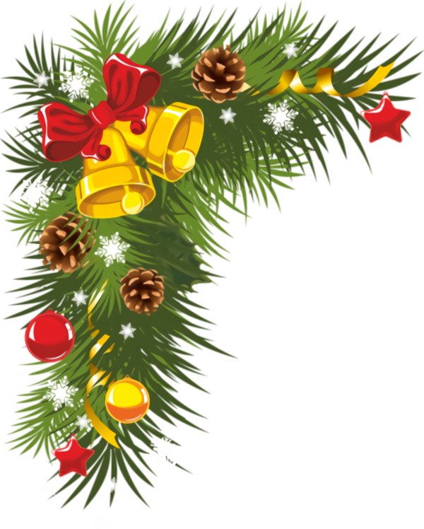 Transparent christmas oregon pine Tree Colorado spruce for Christmas Ornament for Christmas