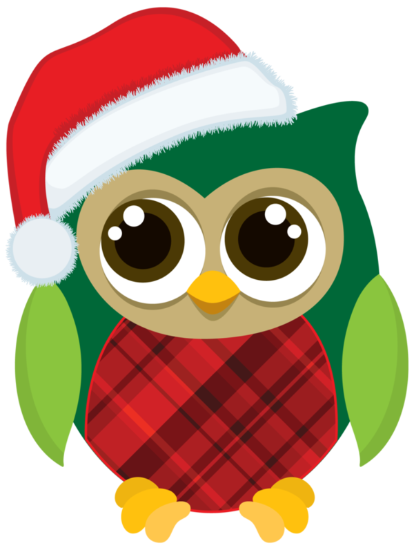 Transparent Cute Owl with Santa Hat for Christmas