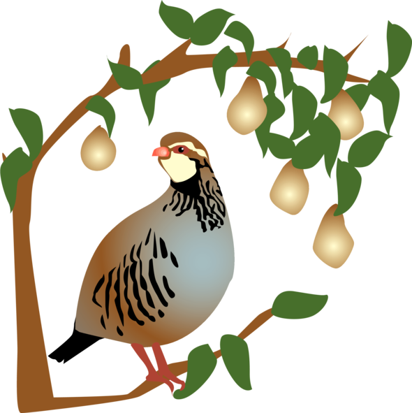 Transparent Partridge Twelve Days Of Christmas Pear Food Tree for Christmas