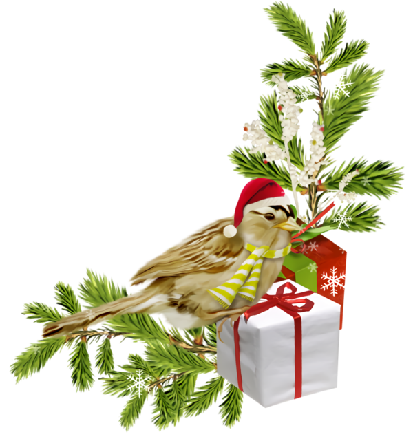 Transparent christmas Bird Branch Holly for Christmas Ornament for Christmas