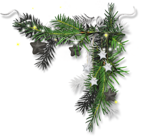 Transparent christmas shortleaf black spruce Columbian spruce balsam fir for Christmas Ornament for Christmas