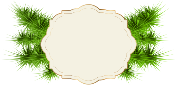 Transparent Santa Claus Christmas Card Christmas Pine Family Plant for Christmas