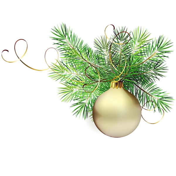 Transparent Christmas Day New Year Seasonal Clipart Tree Branch for Christmas