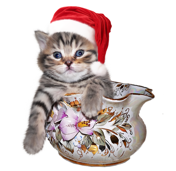 Transparent christmas Cat Small to medium-sized cats Kitten for Christmas Ornament for Christmas