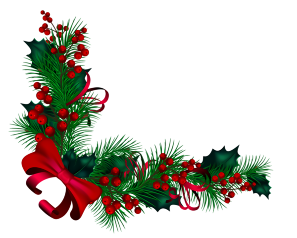 Transparent christmas Colorado spruce oregon pine Plant for Christmas Ornament for Christmas