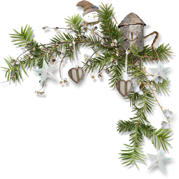 Transparent christmas Yellow fir Colorado spruce oregon pine for Christmas Ornament for Christmas