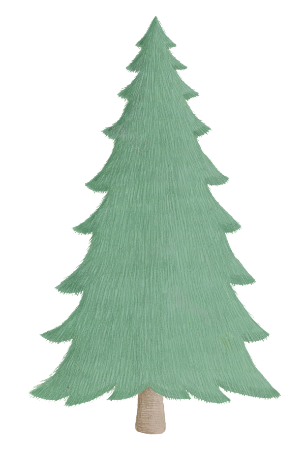 Transparent Christmas Day Christmas Tree Drawing Colorado Spruce for Christmas