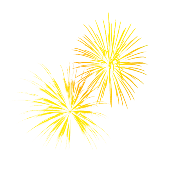 Transparent Pyrotechnics Fireworks Firecracker Flower Symmetry for New Year