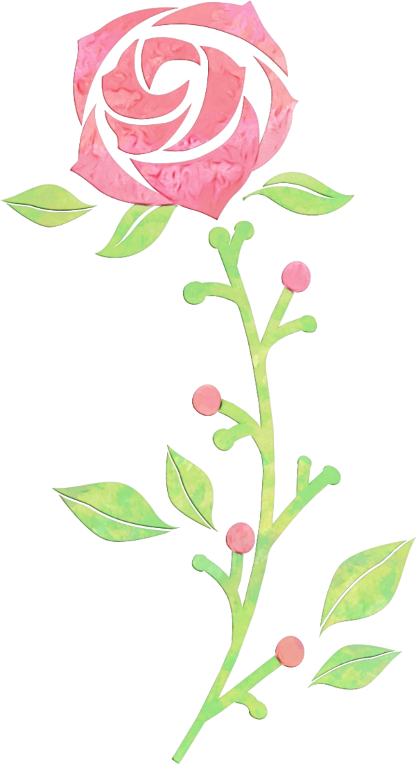Transparent Flower Pink Plant for Valentines Day