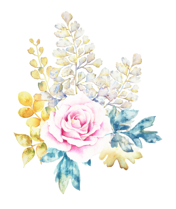 Transparent Watercolor Painting Painting Flower White Cut Flowers for Valentines Day