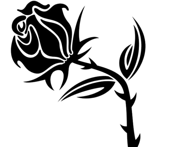 Transparent Black Rose Rose Stencil Flower Plant for Valentines Day