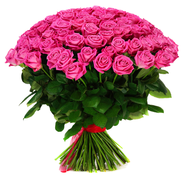 Transparent Garden Roses Flower Flower Bouquet Pink Flowerpot for Valentines Day