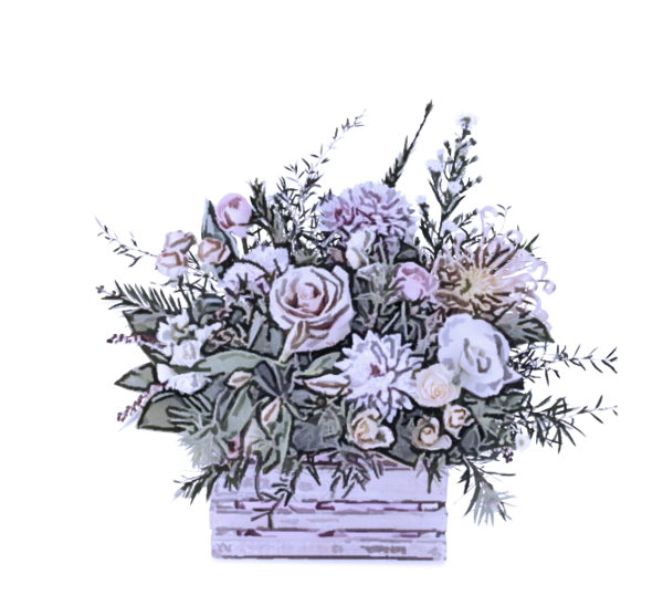 Transparent Flower Plant Bouquet for Valentines Day