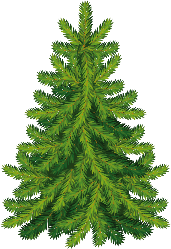 Transparent Santa Claus Tree Christmas Tree Fir Pine Family for Christmas
