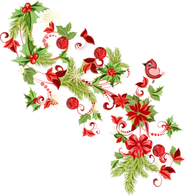 Transparent Plant Flower Holly for Christmas