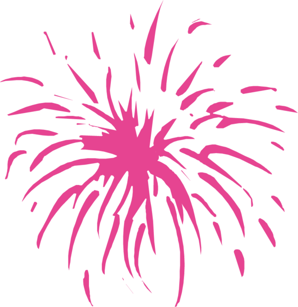 Transparent Fireworks Animation Pyrotechnics Pink Plant for New Year