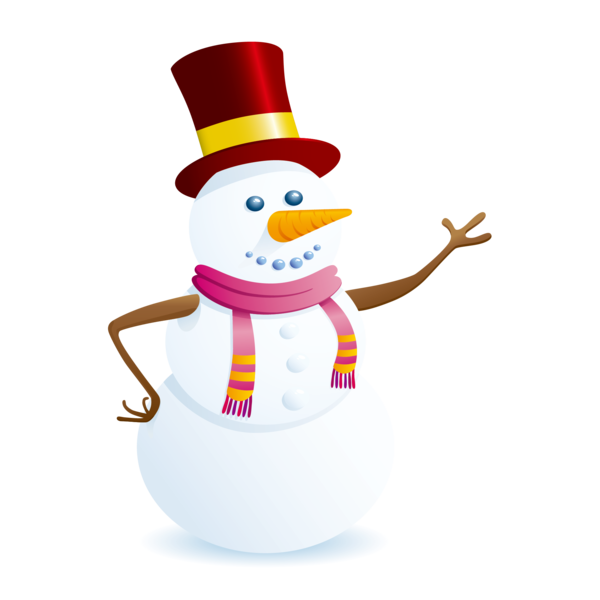 Transparent Snowman Flightless Bird for Christmas