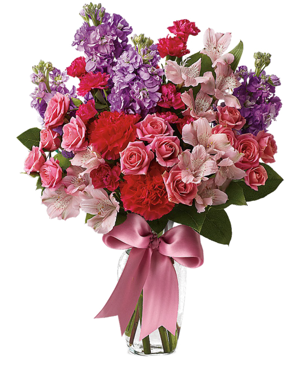 Transparent Pinellas Park Flower Delivery Flower Pink Plant for Valentines Day