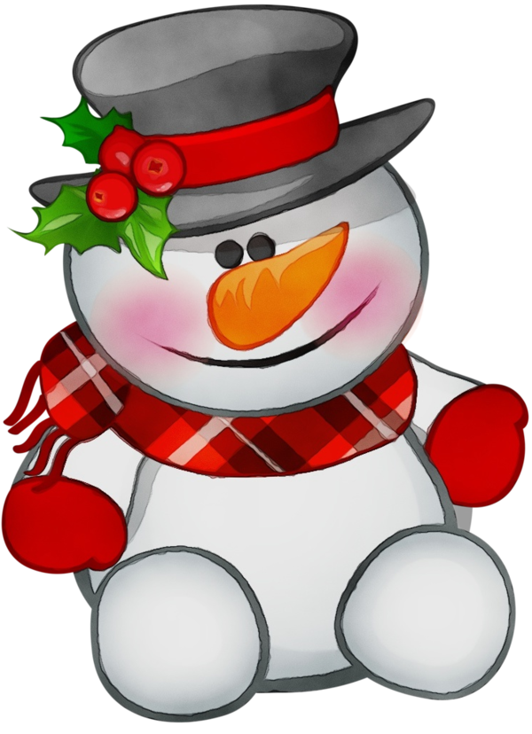 Transparent Penguin Christmas Ornament Character Cartoon Snowman for Christmas