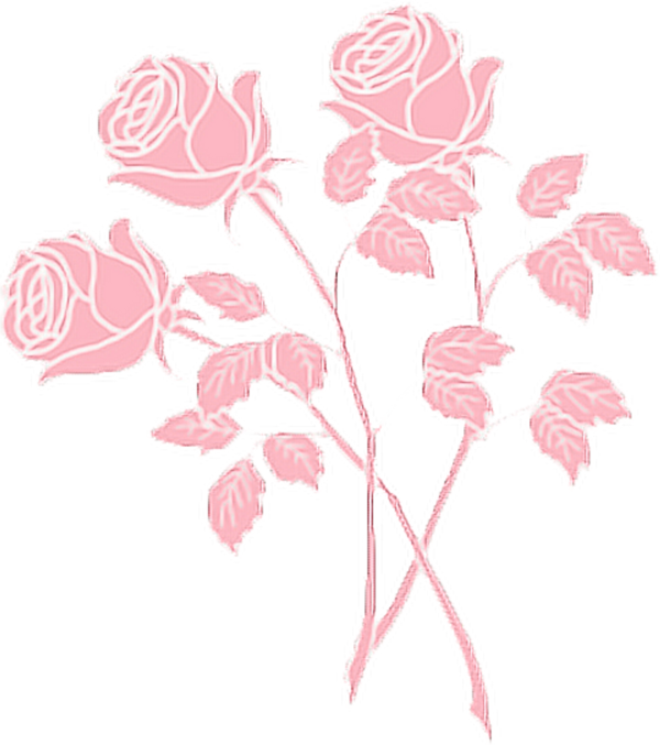 Transparent Rose Pink Drawing Pedicel for Valentines Day