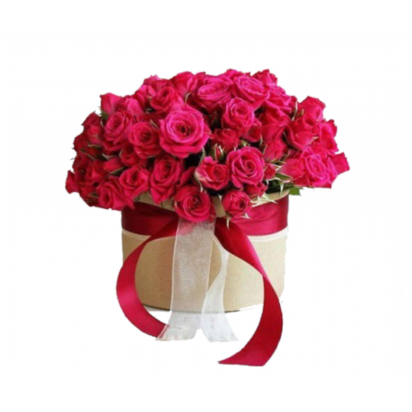 Transparent Flower Bouquet Garden Roses Box Pink Plant for Valentines Day