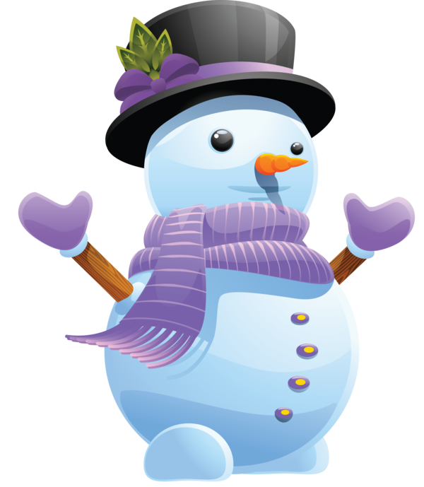 Transparent Snowman Cartoon Christmas Flightless Bird for Christmas