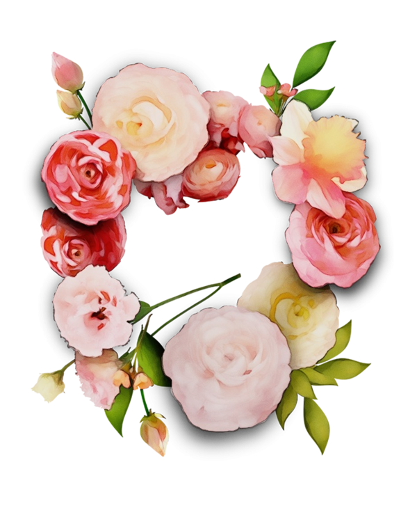 Transparent Garden Roses Flower Cut Flowers Pink for Valentines Day