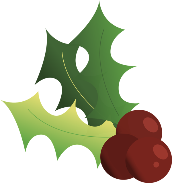 Transparent Drawing Holly Symbol Leaf Plant for Christmas