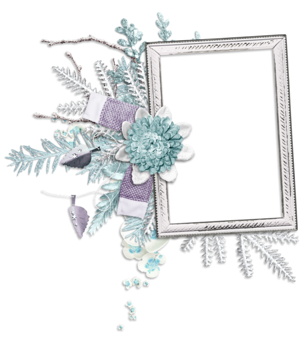 Transparent Picture Frames Christmas Holiday Plant Flower for Christmas