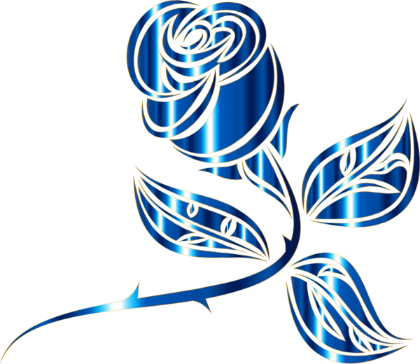 Transparent Rose Drawing Thorns Spines And Prickles Leaf Plant for Valentines Day