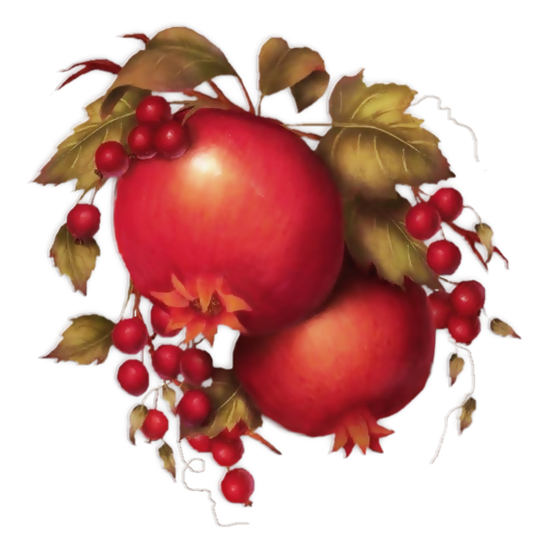 Transparent Pomegranate Food Rose Hip Natural Foods Fruit for Christmas
