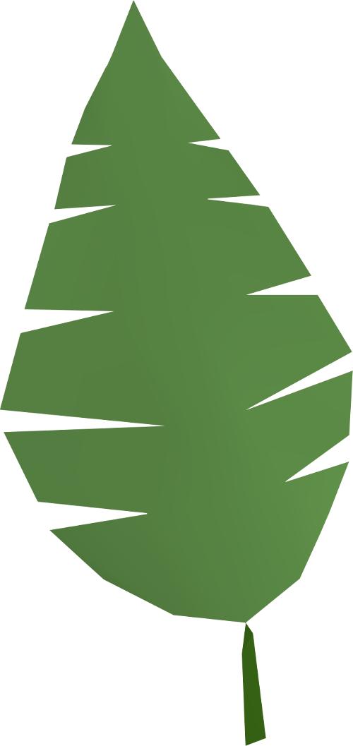 Transparent Arecaceae Palm Branch Leaf Fir Pine Family for Christmas