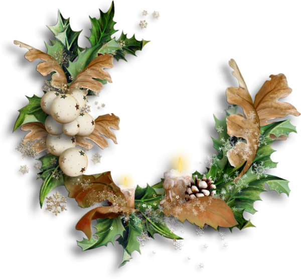 Transparent Christmas Animation New Year Twig Flower for Christmas