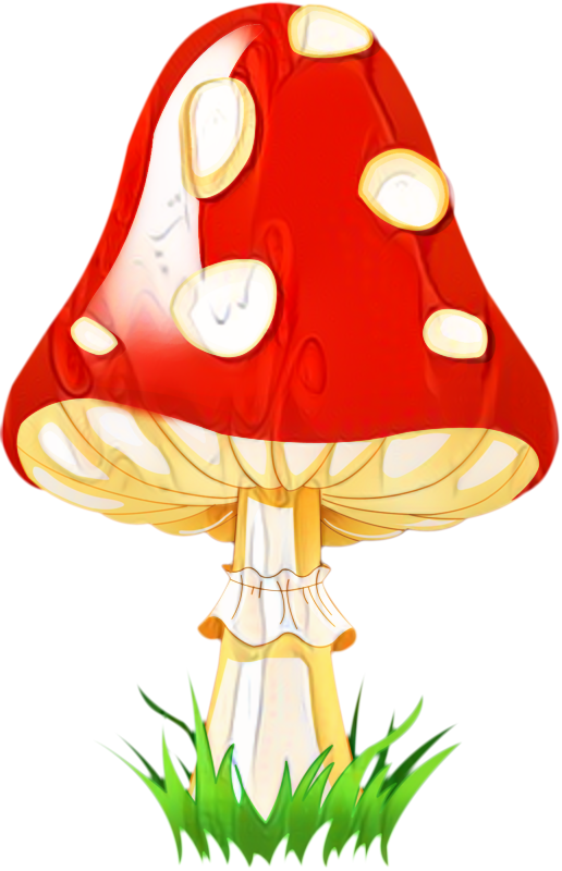Transparent Party Hat Birthday Party Mushroom Cartoon for New Year